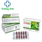 Ngân kiều giải độc - Thuốc thanh nhiệt giải độc hiệu quả