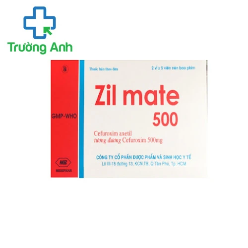 Zil mate 500mg - Thuốc điều trị khuẩn đường tiết niệu hiệu quả